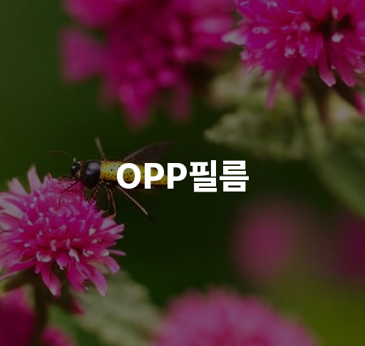 OPP필름 | 가볍고 투명한 특성, 화장실 DIY에 최적 / 고품질 OPP필름 용량 검색 & 구매